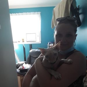 Meet your Posher, Lysandre